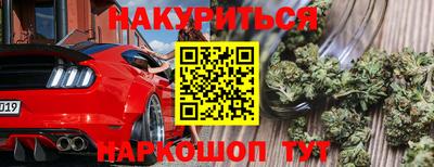 хмурый Гатчина