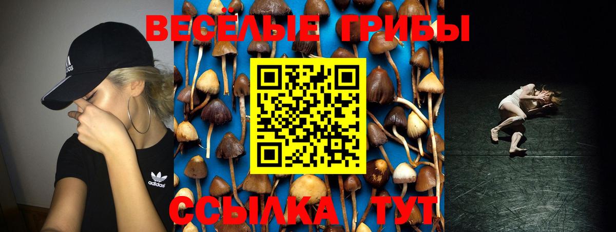 Псилоцибиновые грибы Magic Shrooms  Вход с VPN  Можга  Псилоцибиновые грибы мицелий 