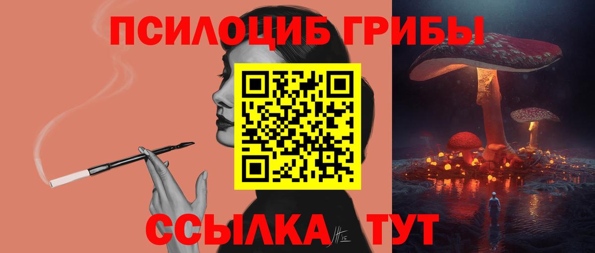 Галлюциногенные грибы Psilocybe Можга
